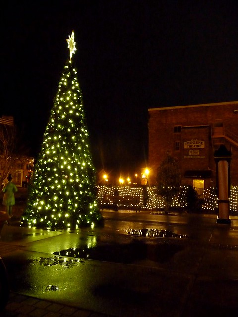 Milton Christmas Tree near the Imogene