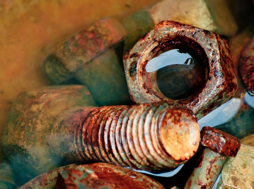 water project bucket rust pentax nuts scum bolts 365