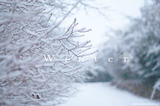 Winter Sign... | by Letters From Juliet