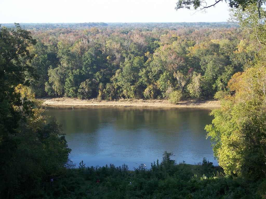 Apalachicola River in Torreya State Park