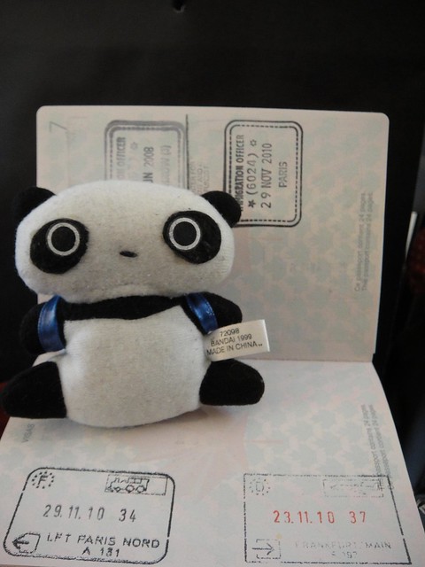 Backpacking TarePanda with passport stamps from this trip