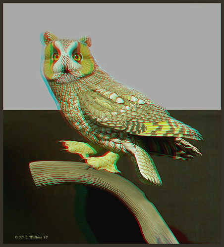 sculpture detail bird art nature beautiful stereoscopic 3d md gallery brian fineart maryland anaglyph carving indoors stereo owl wallace inside chacha expensive depth easton skill decoy stereoscopy stereographic ewf artpiece brianwallace stereoimage eastonwaterfowlfestival stereopicture