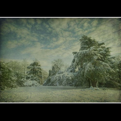 Snow by sisyphus007