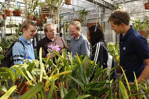 Orchid Conservatory Lab