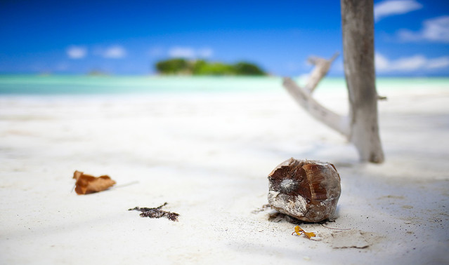 Shallow depth of field Seychelles beach sand coconut