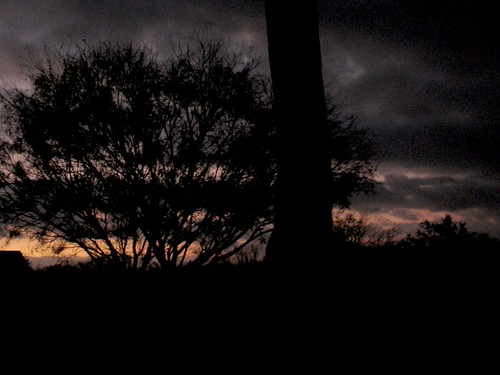 11-24-10 Frontporch Sunrise With 'Shadetree' by Willie C, thanksgiving ranch sunset moon sunrise mesquite