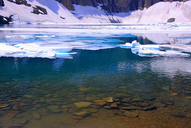 IMG_1286 Iceberg Lake, Glacier National Park