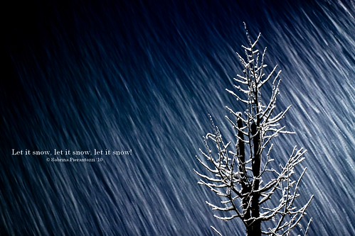White Christmas! | by Sabrina Pierantozzi