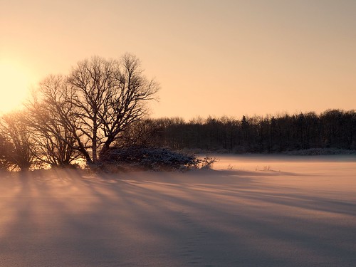 winter snow cold olympus solstice zuiko herfølge e520 1260mm