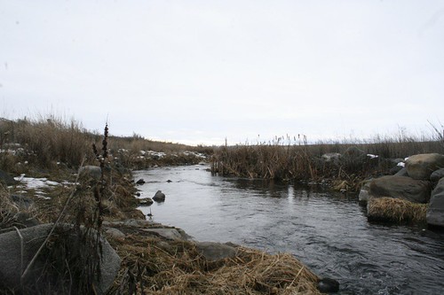 ford creek rocky