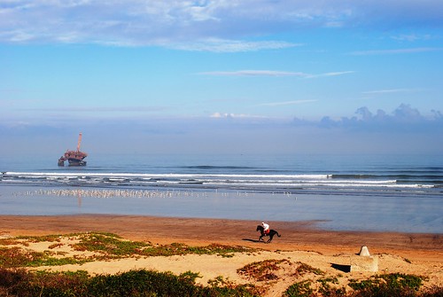 sea horse beach morocco shipwreck ghostship eljadida beachmorocco