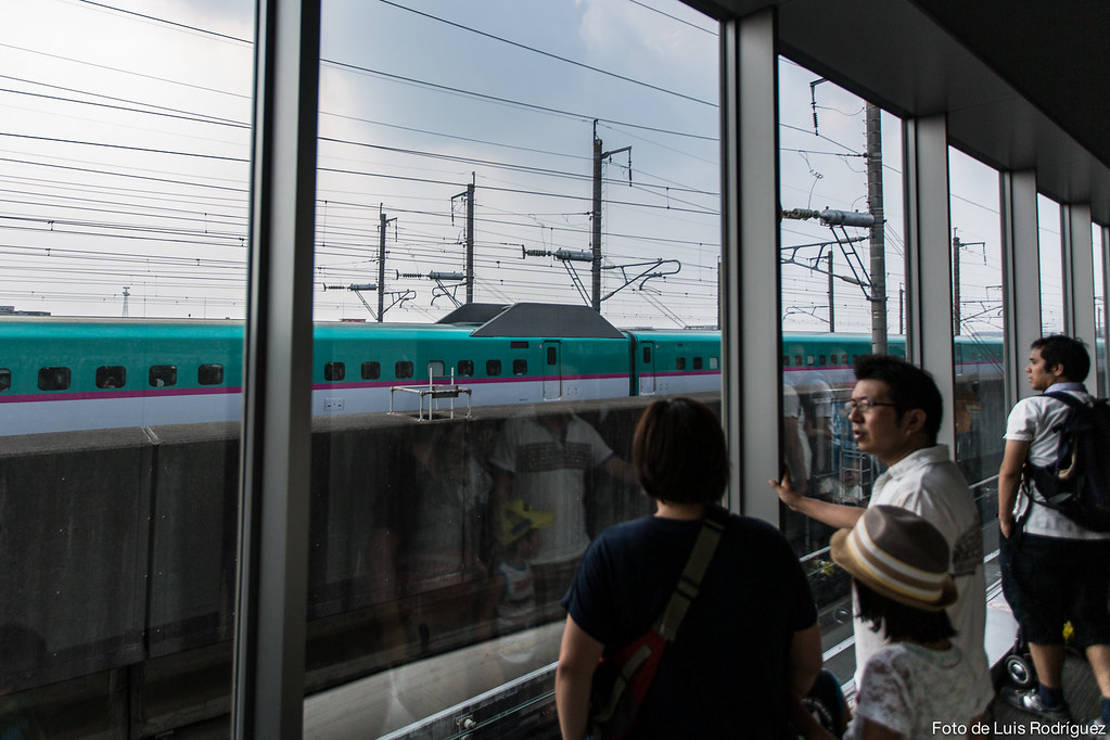 Shinkansen Lounge para ver los trenes pasar