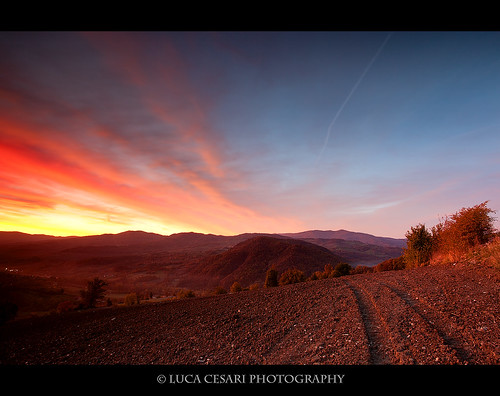 Road to sunrise by Luca Cesari Photography