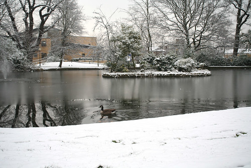 Southlands_in_snow (3)