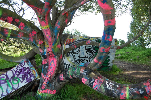 Hyper painted tree