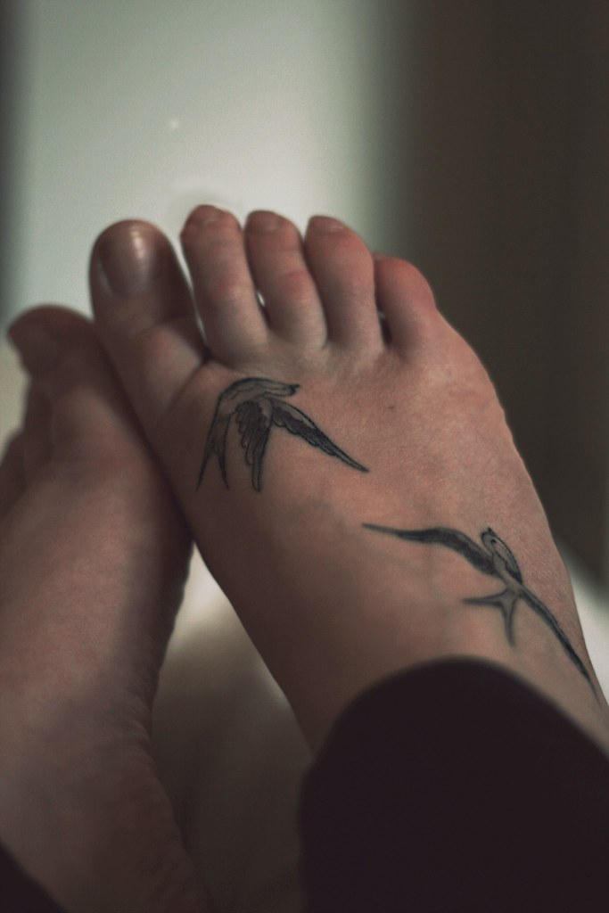 Swallows. | this is my swallow tattoo on my foot :) eventual… | Flickr