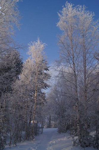 winter snow russia siberia
