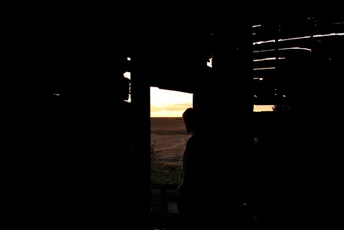 sunset sun silhouette nebraska farm thinking
