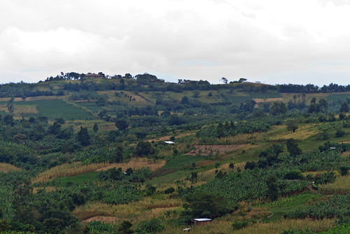 africa countrysidepeoplevillagelife geography uganda