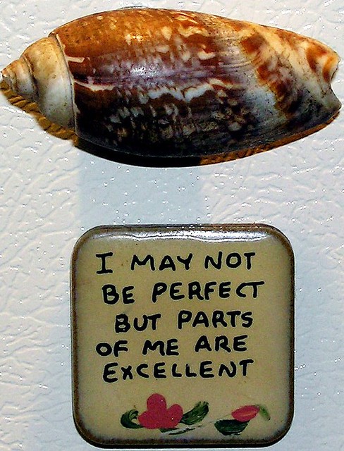 Worded Magnet and Shell Magnet