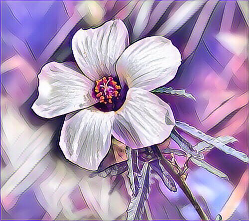 Flower in Digital Glory