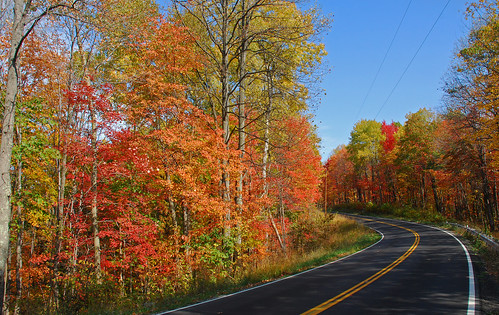 autumn color fall landscape