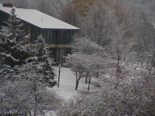 Winter Scene 2008