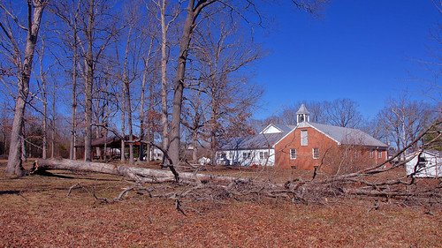 066/365: Monday, March 7, 2011: Fallen Oak | by Stephen Little