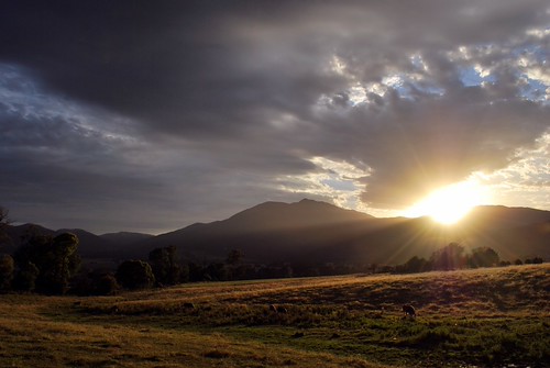 New Year's Day, Tawonga South, VIC, Australia by phunny.not.funny, Mt. Bogong in the centre.australia victoria alpine northeastvictoria phunnyfotos