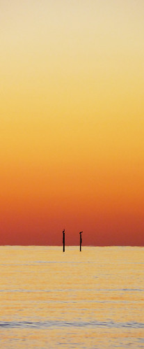 Perched Upon the Edge by White Void Design, ocean sunset beach grass flordia