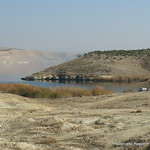 euphrates river 21-01-2011 12-51-00