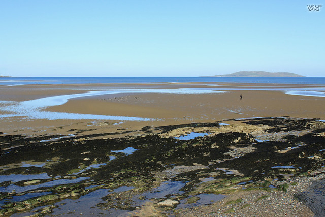 Malahide bay at low tide - Malahide, IE-2
