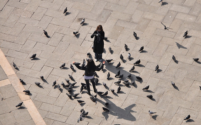 Pigeons in San Marco's Square in Venice