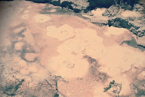 mudpools | by asiya.poindexter