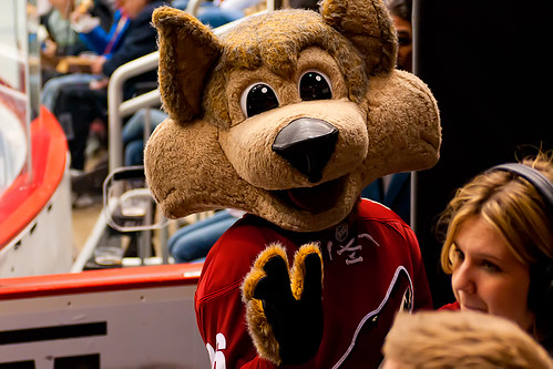 Howler Says Hi | GLENDALE, AZ - February 14, 2011: Phoenix C… | Flickr