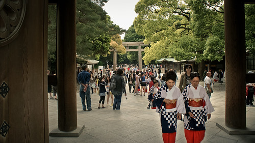 Meiji Shinto Shrine // Tokyo | by davidpc_