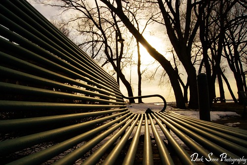 morning trees winter sun snow ontario canada cold forest sunrise bench pov sony belleville dslr a500