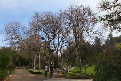 ucr botanical gardens