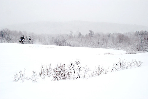 trees winter sky white snow landscape vermont 100v10f middlebury hills fields