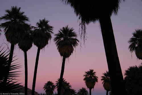Sunset at the Palm Bowl, Anza-Borrego Desert State Park, California