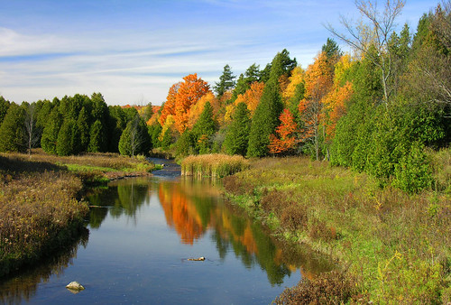 creditvalleyconservation cvc conservationarea uppercreditca areafeatures fall autumn trees water creditriver creditriverwatershed uppercredit uppercreditconservationarea fallcolours ontario canada