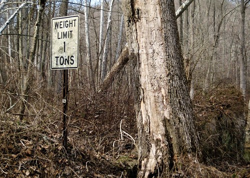 abandoned sign forest lost woods rusty uhoh middleofnowhere week8 1ton 52weeks bridgeoutahead feelingguiltyaboutthepie