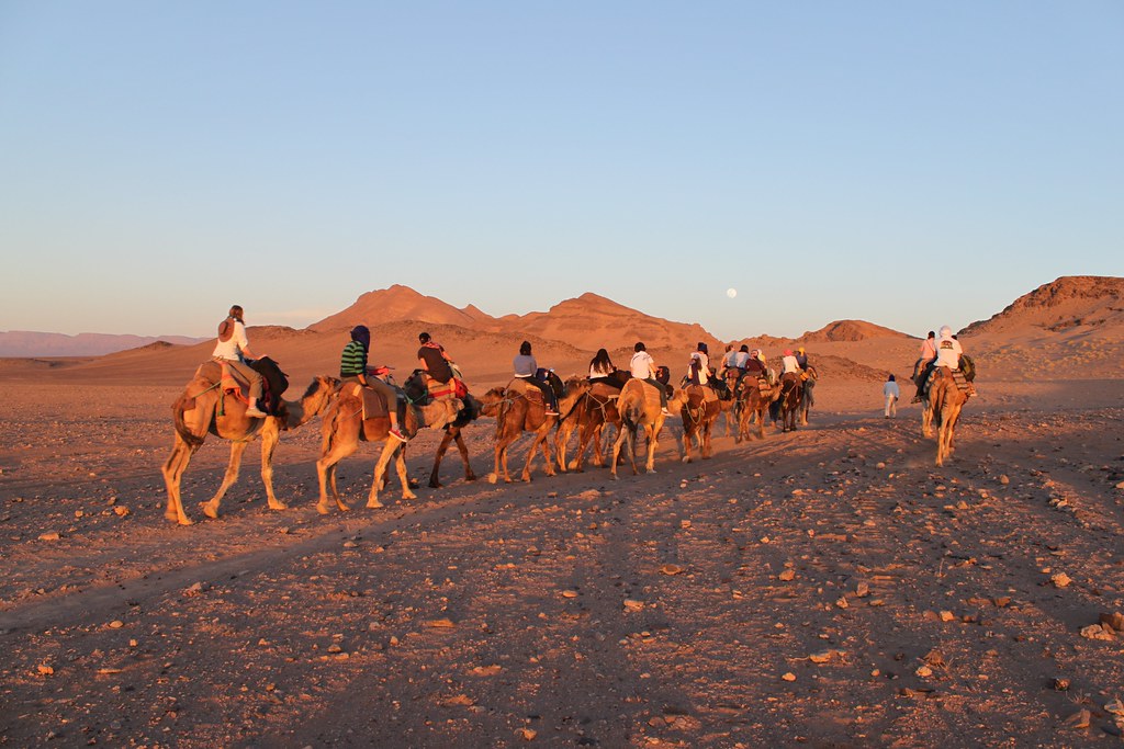 Extreme Environments - A tourist camel train travels out to spend a night 'under the stars'