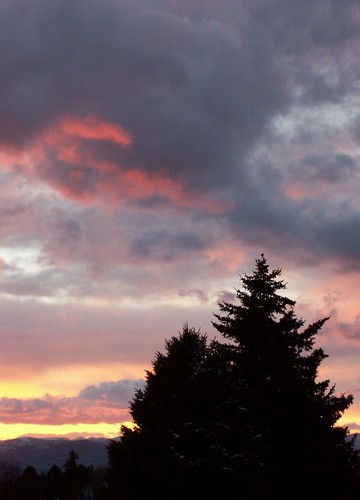 pink sunset orange tree yellow pine clouds grey gray fir spruce sillhouette conifer