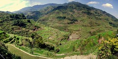 Рисовые террасы в Филиппинских Кордильерах