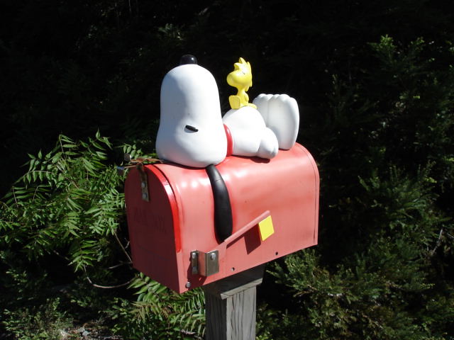 Snoopy & Woodstock mailbox