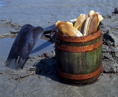 Razor Clams, Long Beach Peninsula WA US | by Alki1