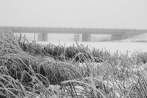 raygibbon bridge fog biglake bw blackandwhite drive sturgeon river stalbert alberta