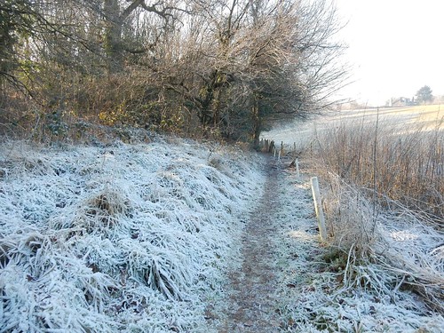Frosty path Gerrards Cross to Cookham
