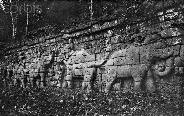1912, Angkor Thom, Angkor, Cambodia - Photograph of a bas-relief of a procession of elephants along a wall